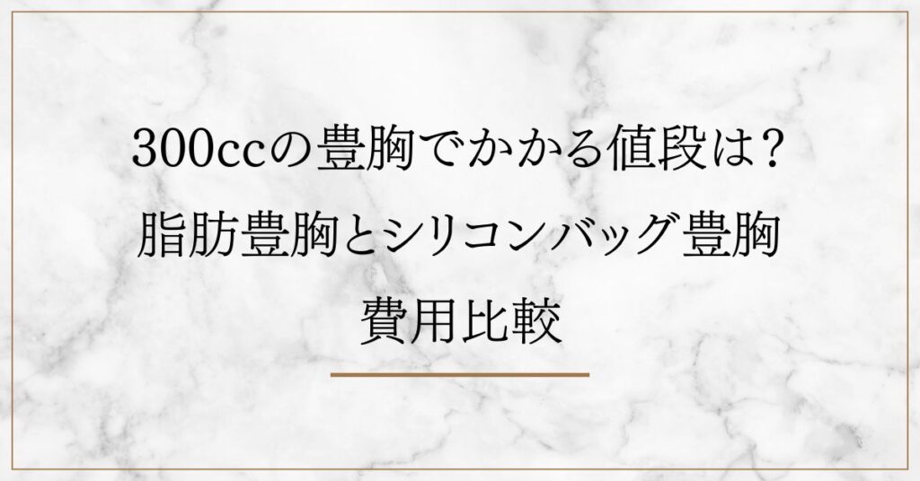 300ccの豊胸でかかる値段は？脂肪豊胸とシリコンバッグ豊胸を比較